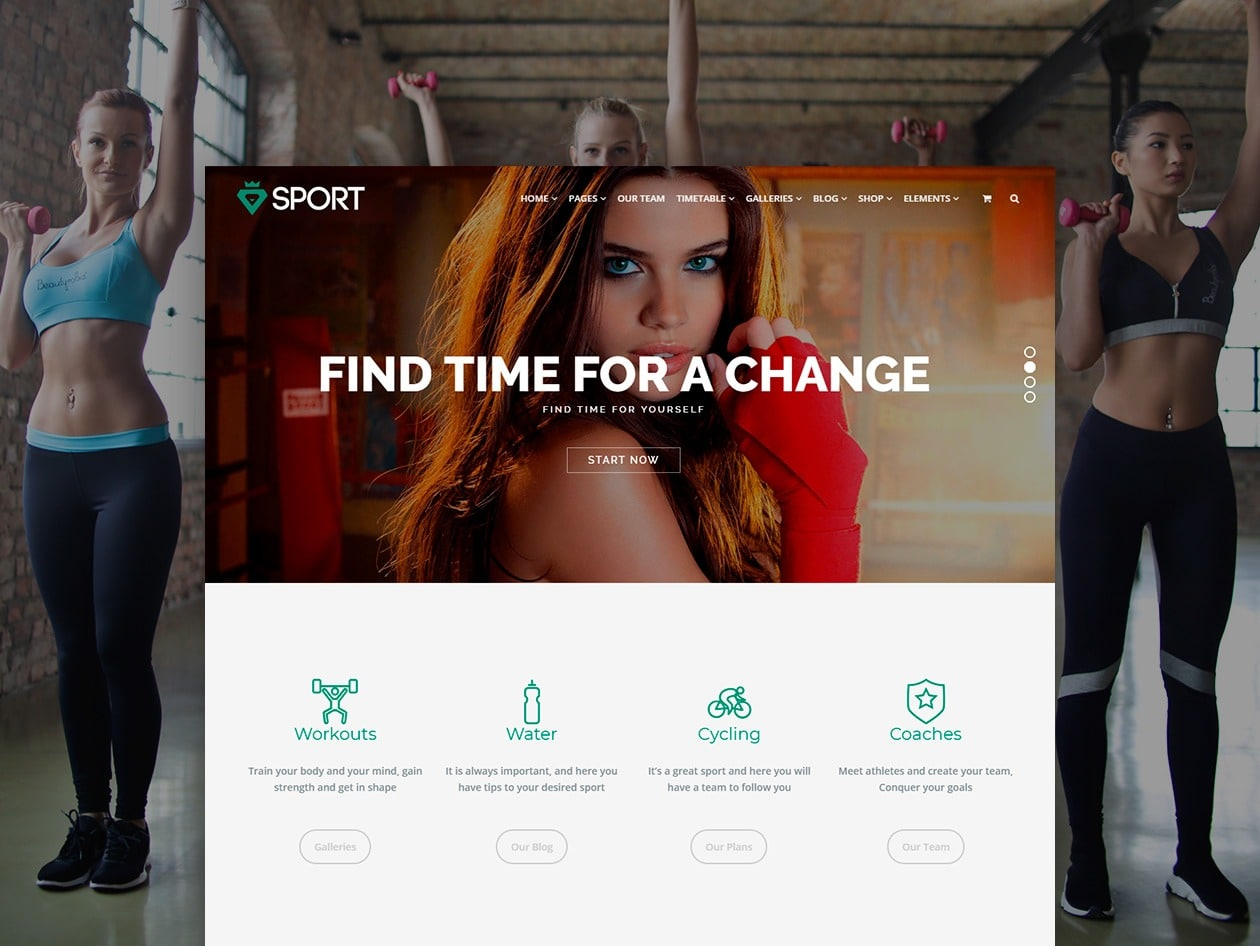 Screenshot of the Sport WordPress Theme website