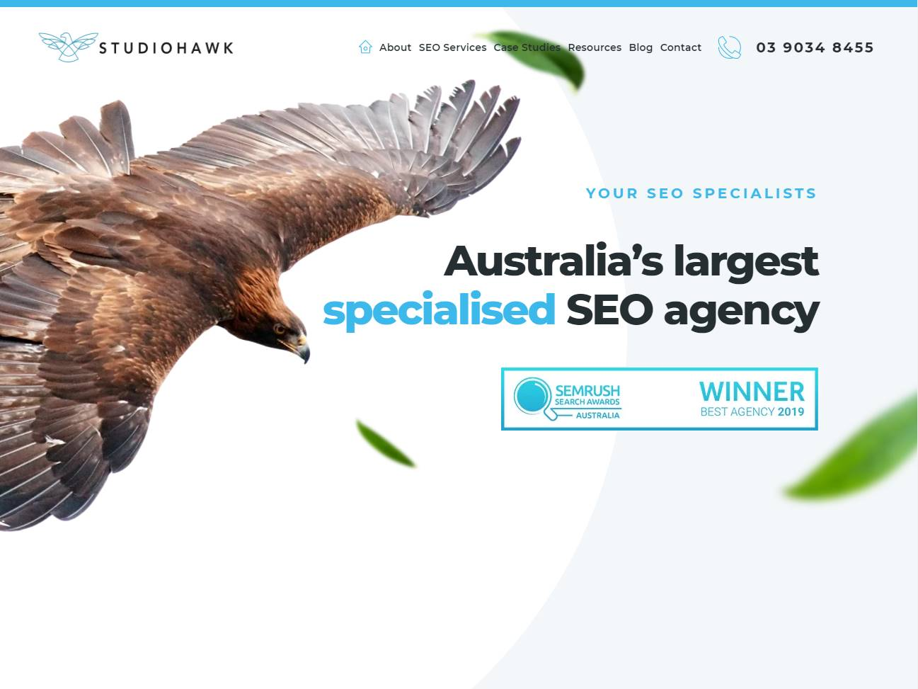 Screenshot of the StudioHawk website