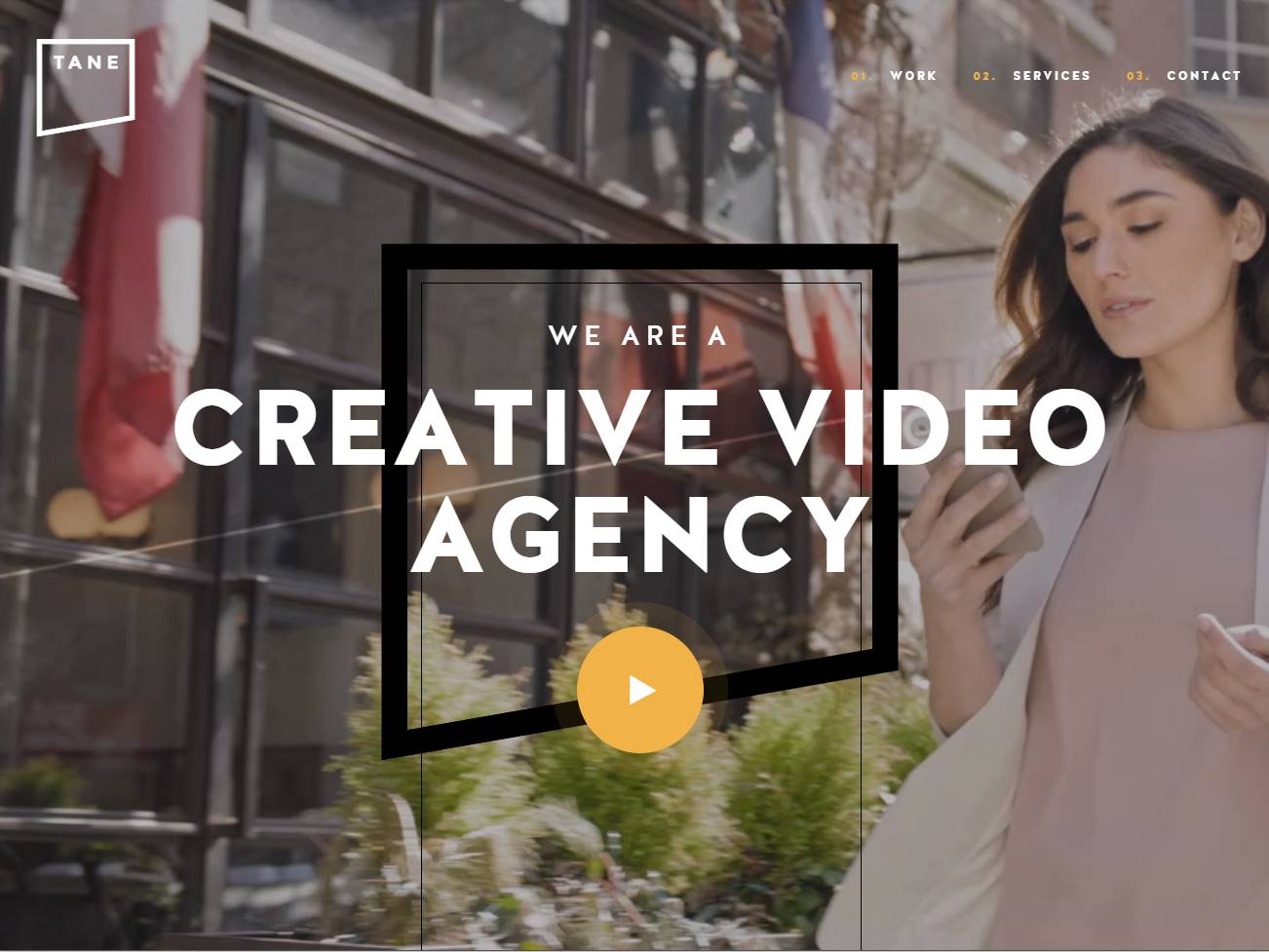 Screenshot of the TANE Digital Video website