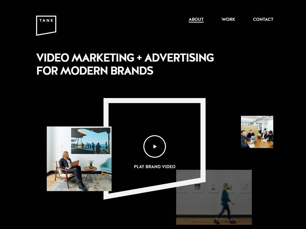 Screenshot of the Tane website