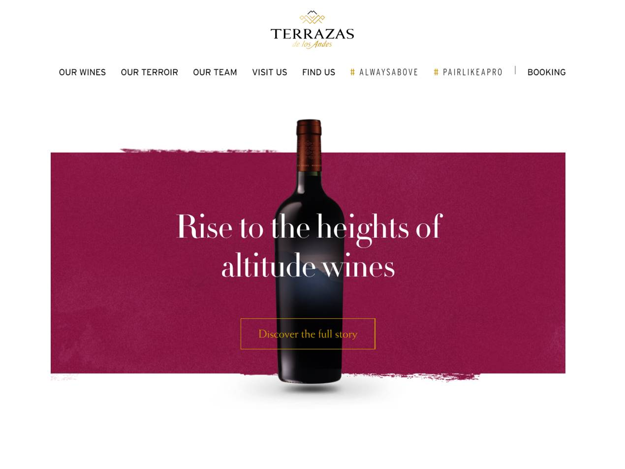 Screenshot of the Terrazas de los Andes website