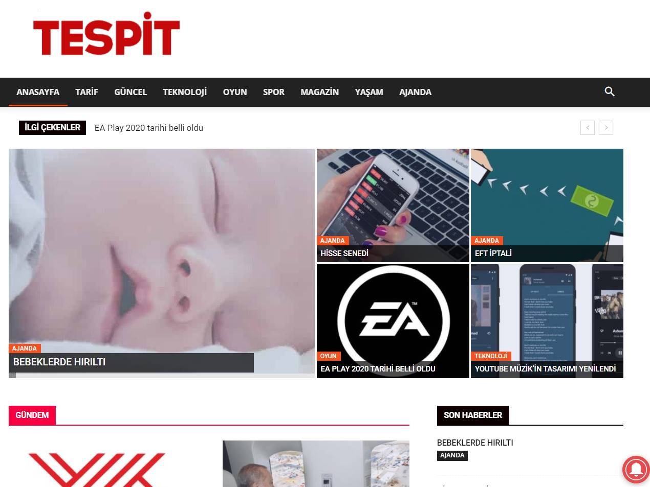 Screenshot of the Tespit website