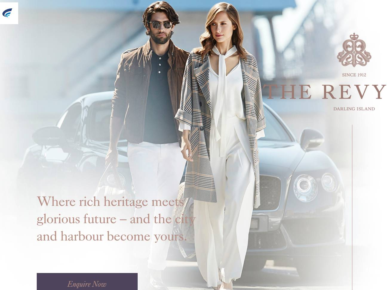 Screenshot of the The Revy website
