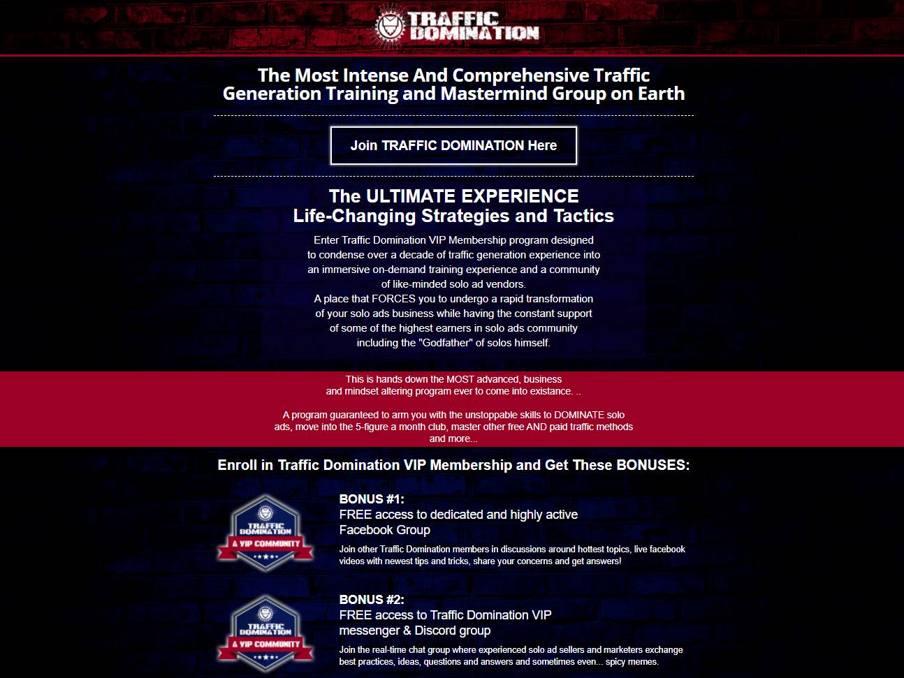 Screenshot of the Traffic Domination website