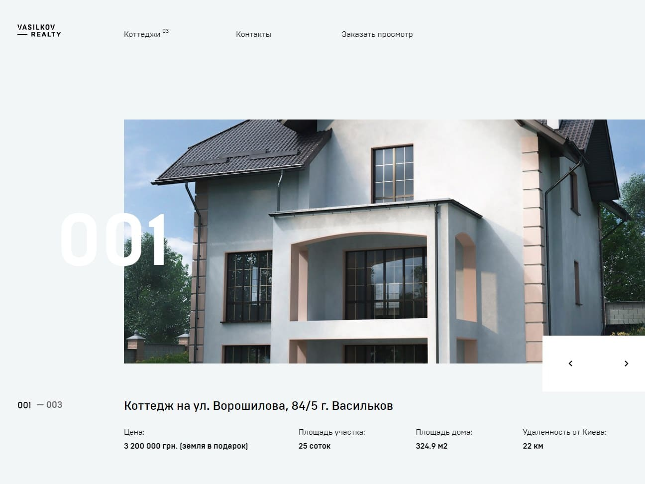 Screenshot of the Vasilkov Realty website