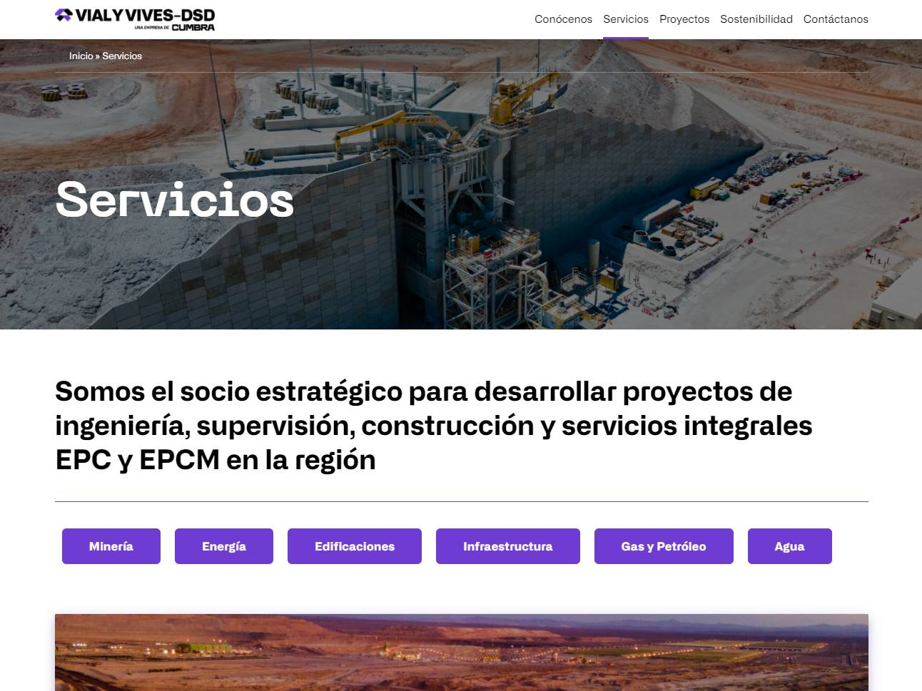 Screenshot of the Vial y Vives website