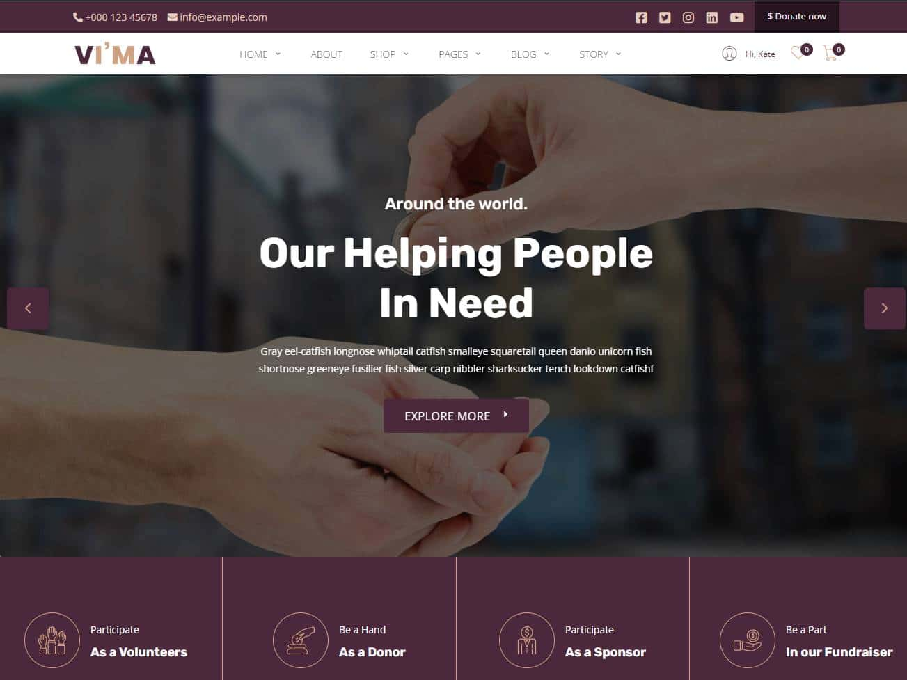 Screenshot of the Vima website