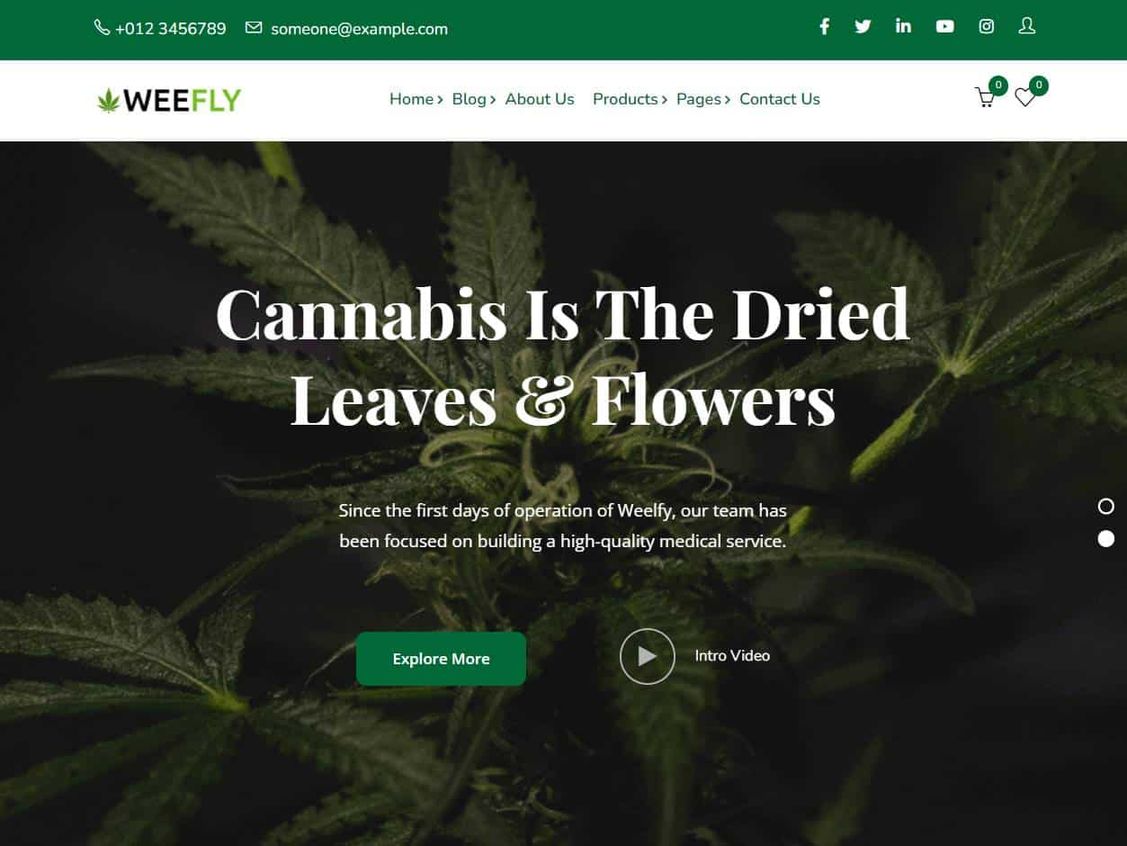 Screenshot of the Weefly website