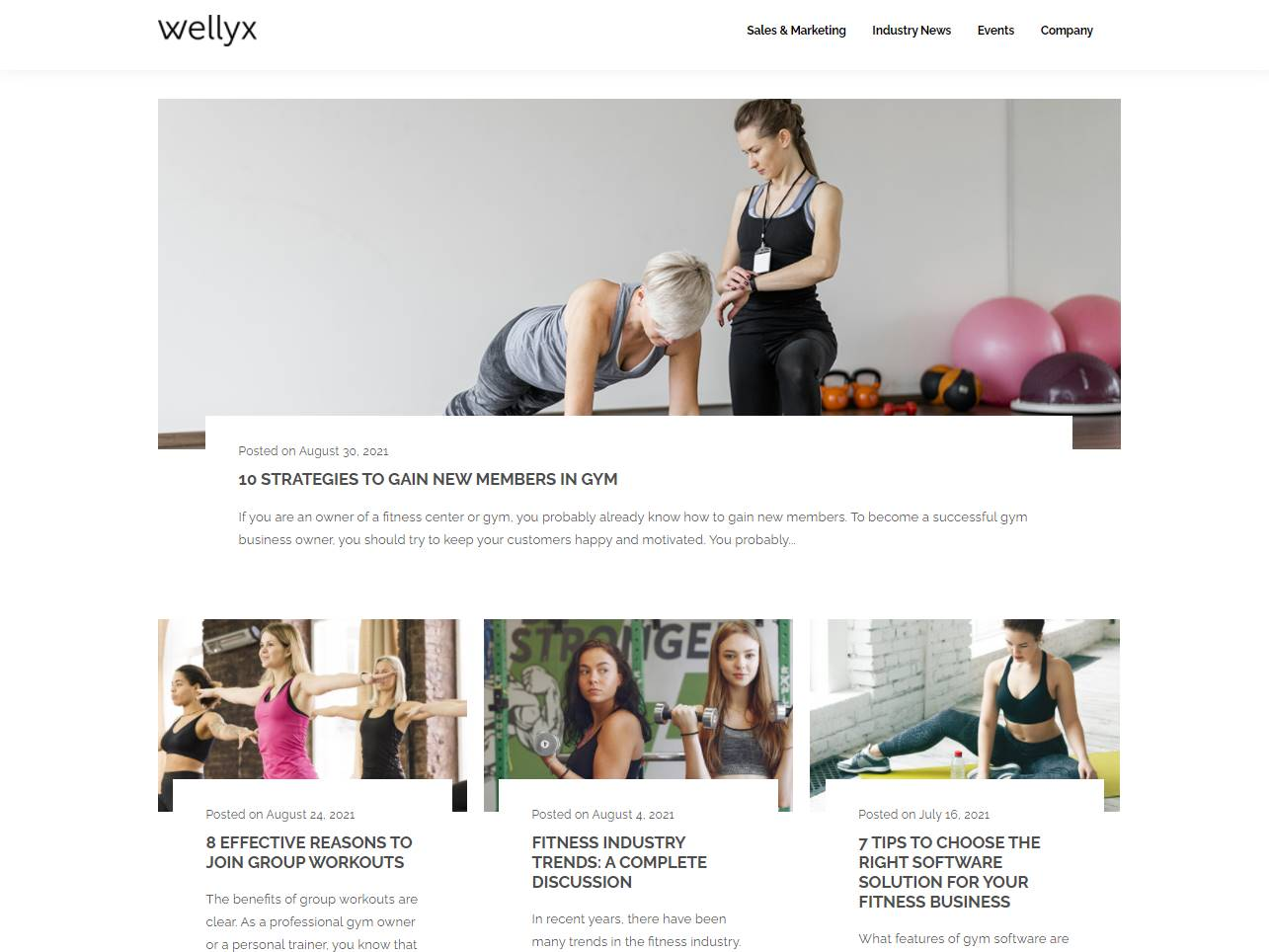 Screenshot of the Wellyx Software website
