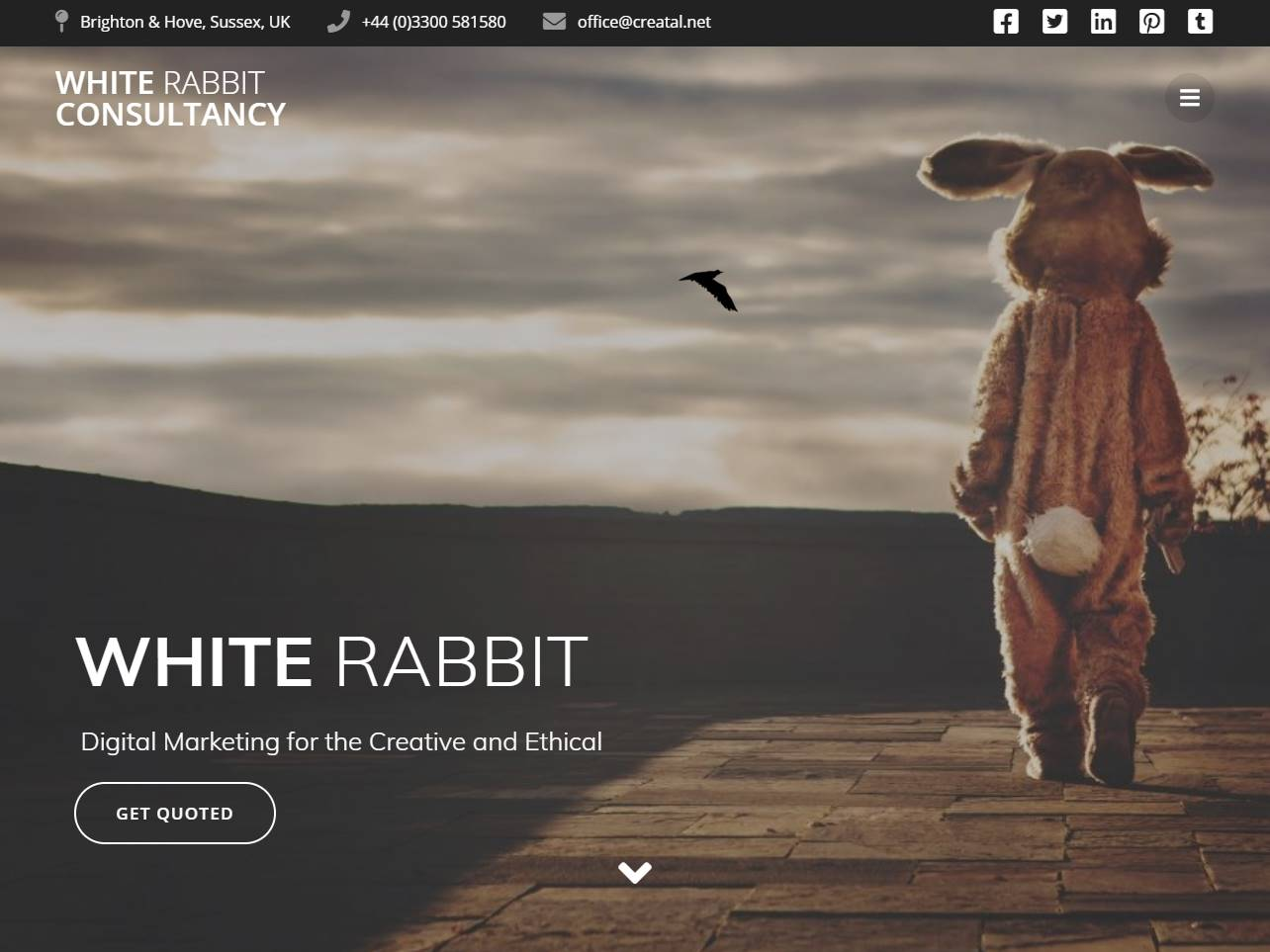 Screenshot of the White Rabbit Consultancy website