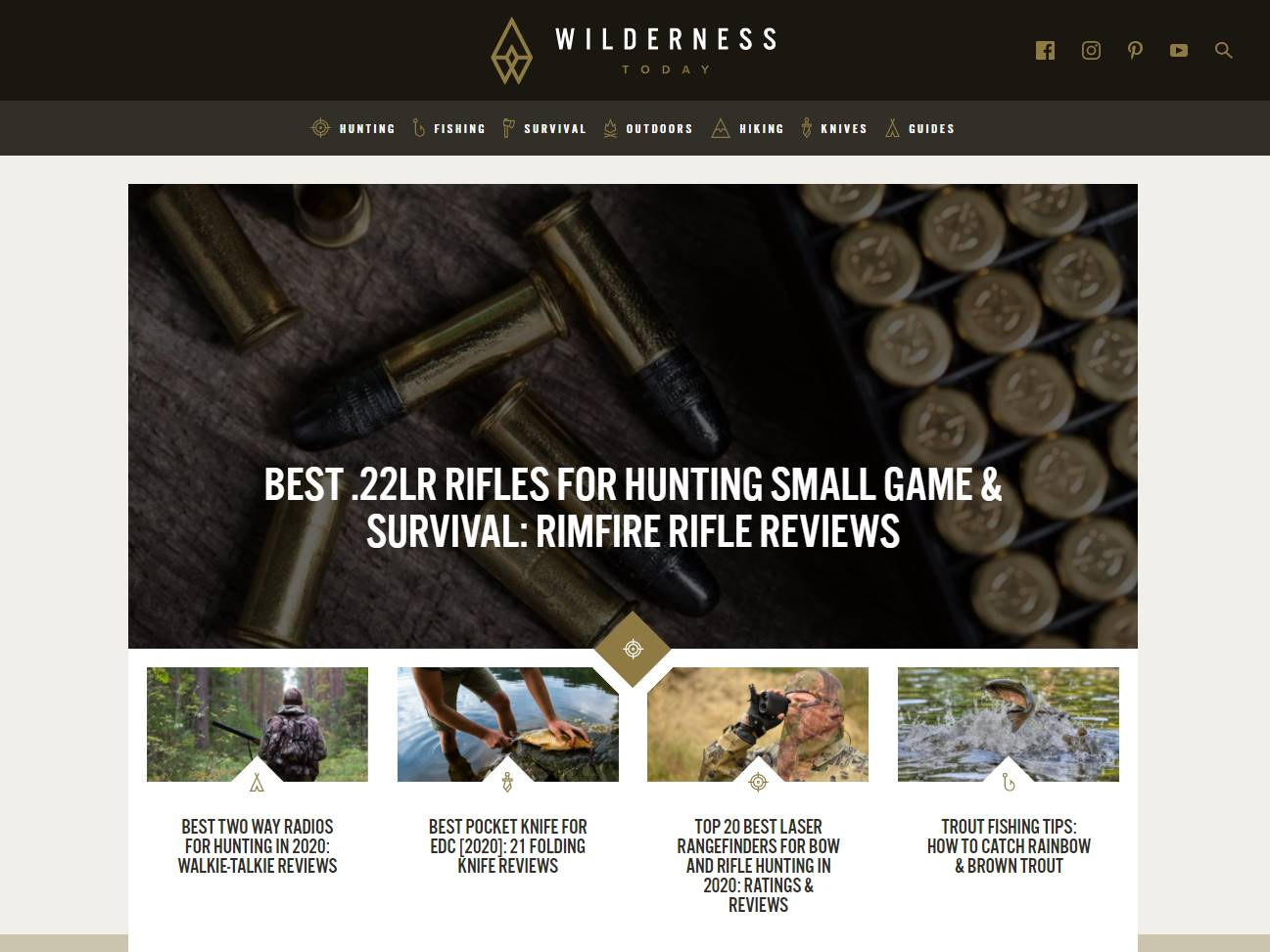 Screenshot of the Wilderness Today website