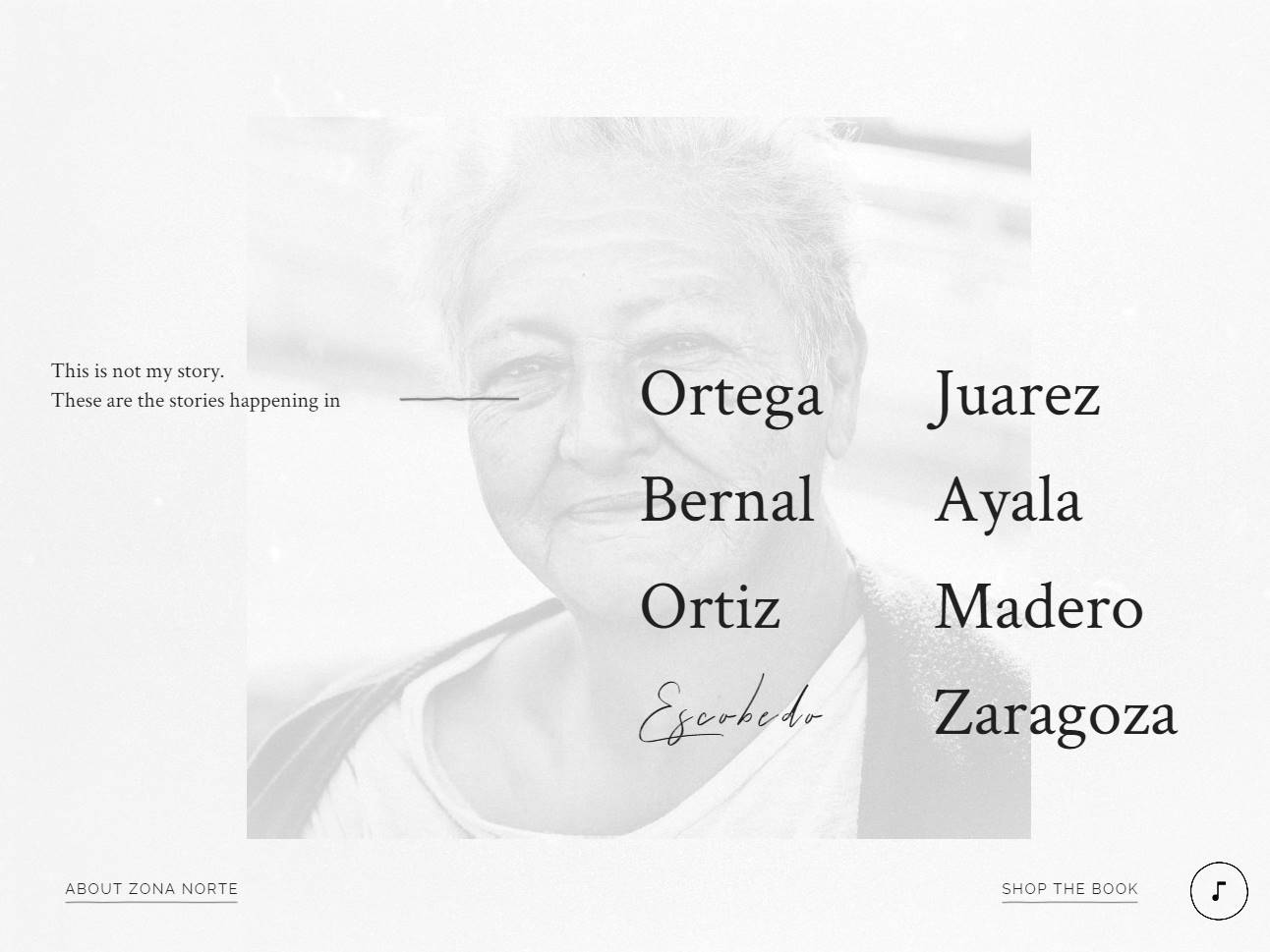 Screenshot of the #ZonaNorte website