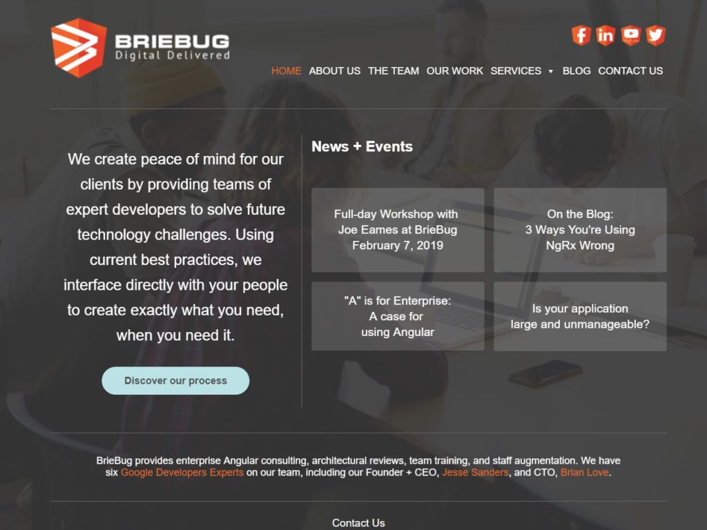 BrieBug Website Front-page css sites gallery design awards