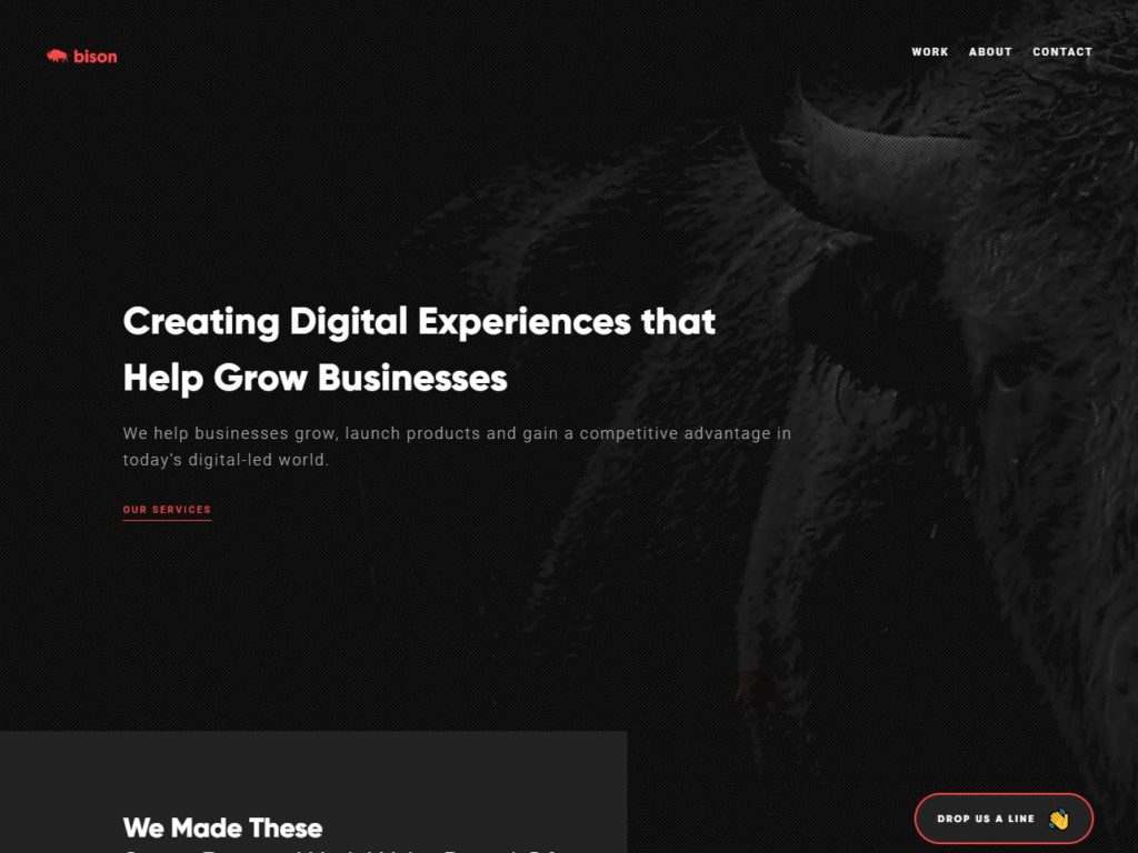 Bison Studio CSS Design Awards Winner sites gallery