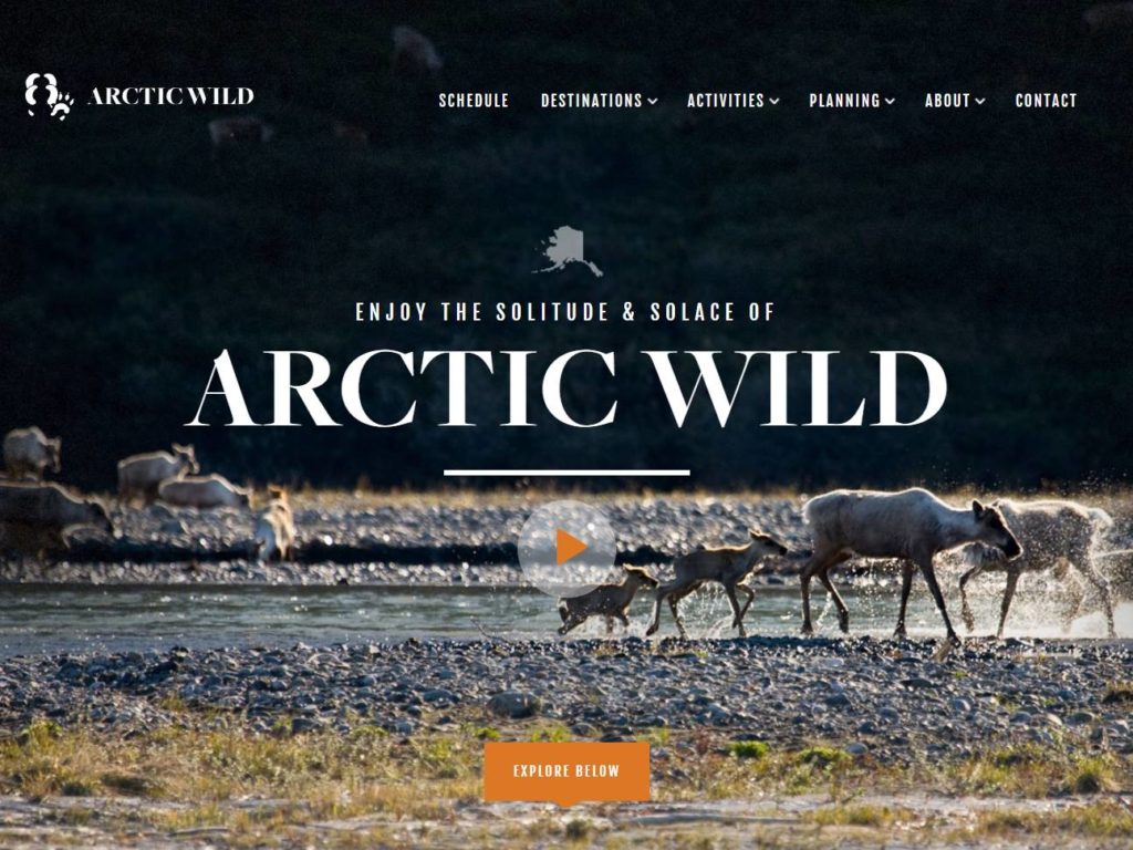 Arctic Wild CSS Design Awards Winner sites gallery
