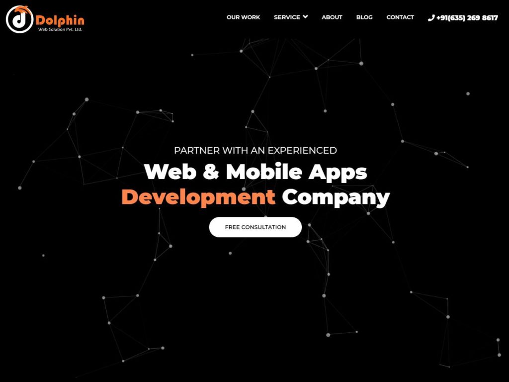 Dolphin Web Solution CSS Design Awards Winner sites gallery