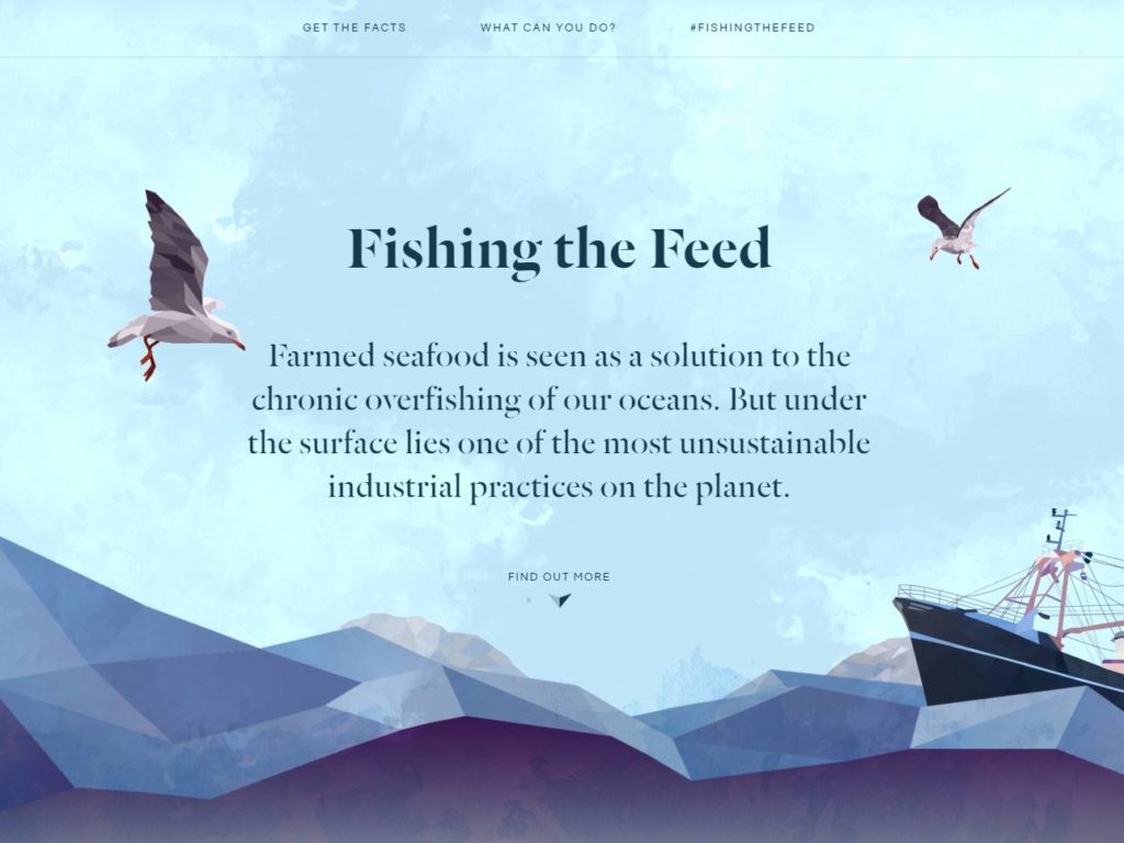 Fishing the Feed