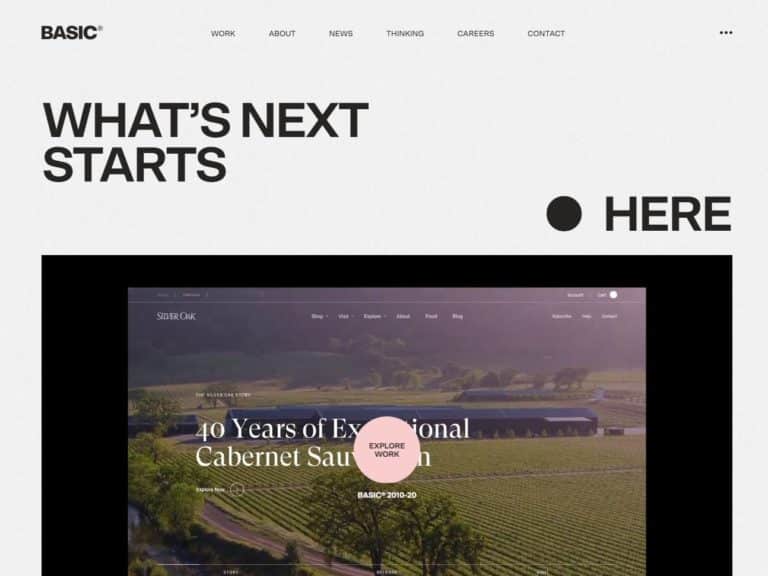 BASIC® - Sites Gallery CSS Design Awards Winner