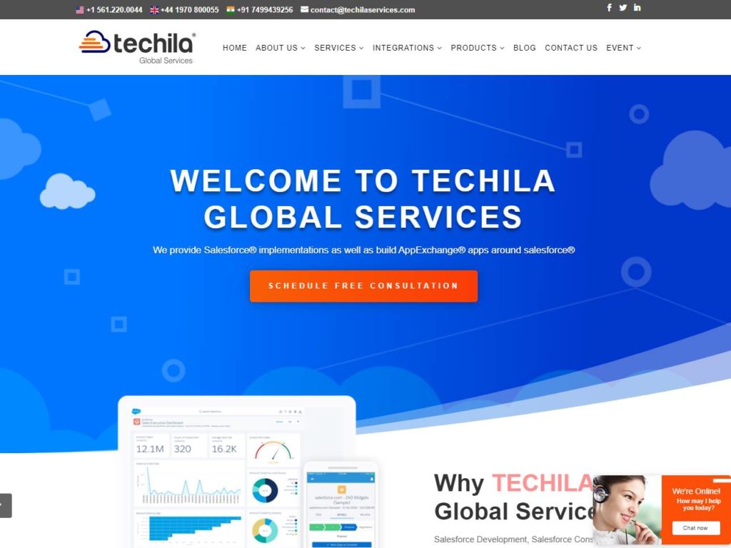 Techila Services