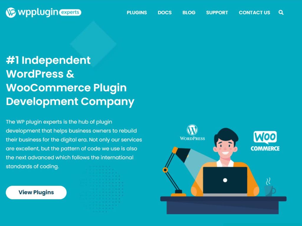 WP Plugin Experts