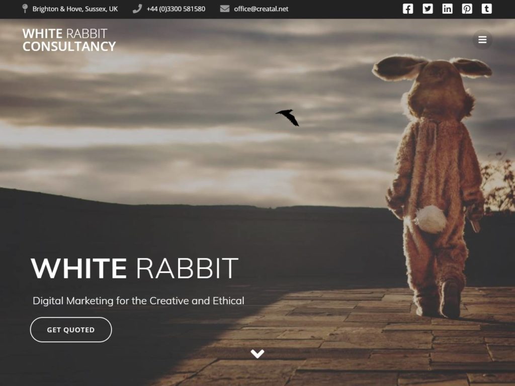 White Rabbit Consultancy