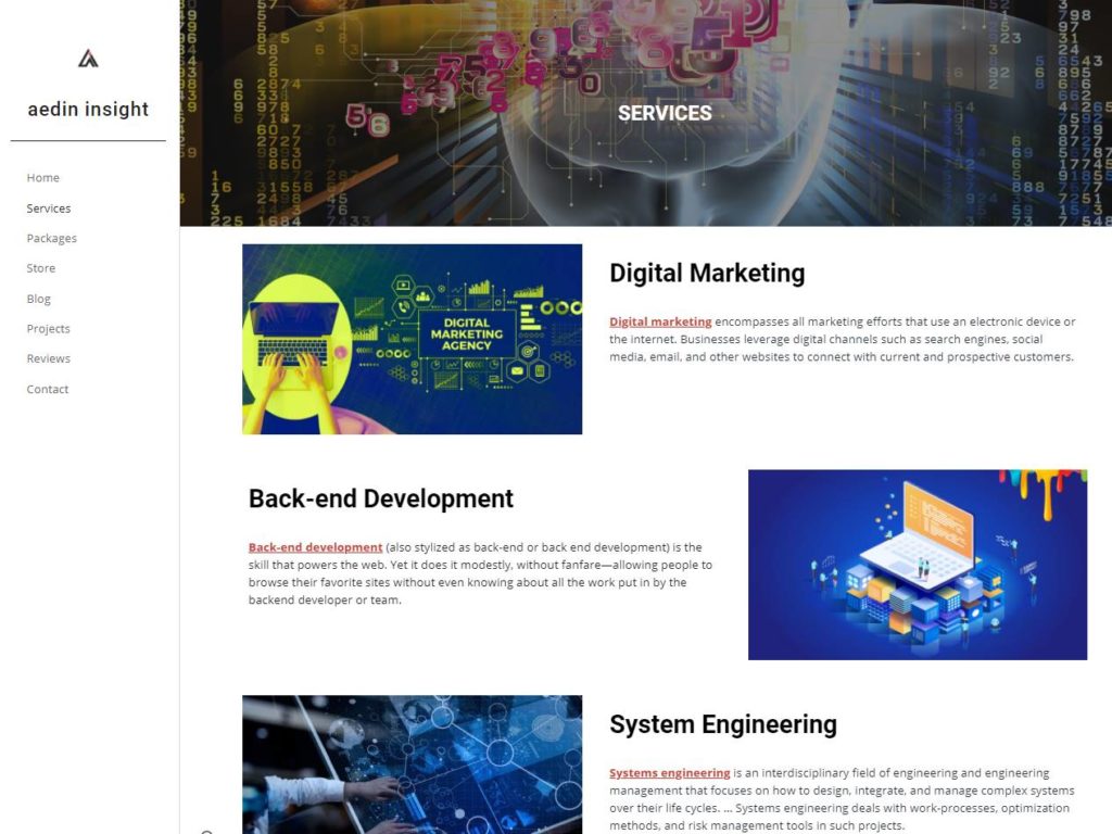Aedin Insight Services