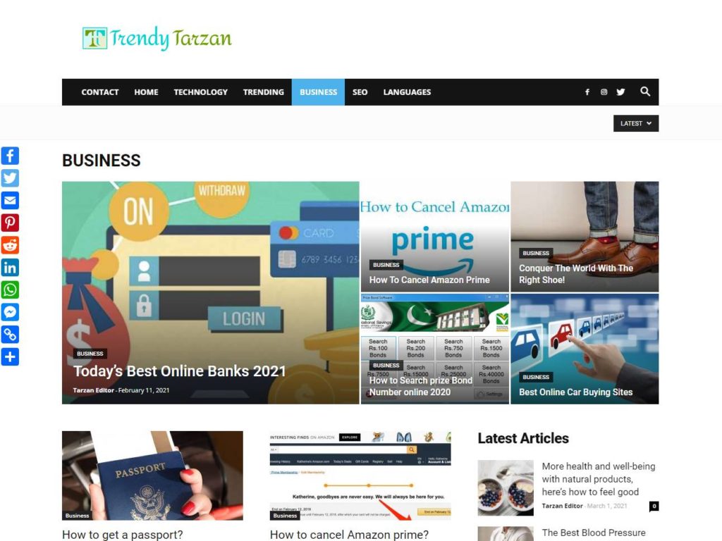 TrendyTarzan Business